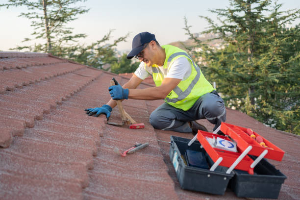 Best Roof Restoration Services  in Fox River Grove, IL