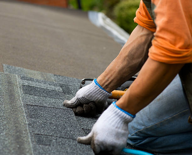 Best Shingle Roofing Installation  in Fox River Grove, IL