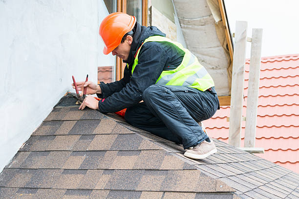 Best Metal Roofing Contractor  in Fox River Grove, IL