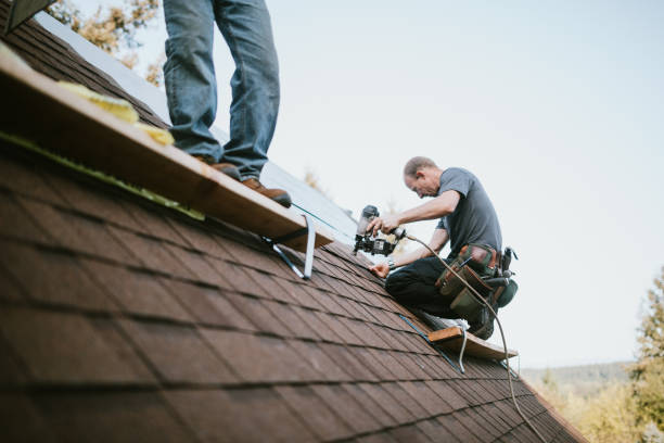 Roof Gutter Cleaning in Fox River Grove, IL